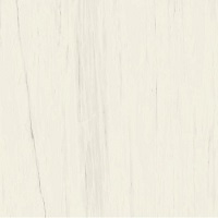 Marvel Bianco Dolomite 160x160RT Lappato